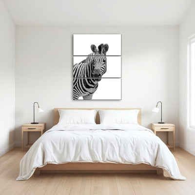 AUTO-MOCKUP ROOM | Zebra Grayscale