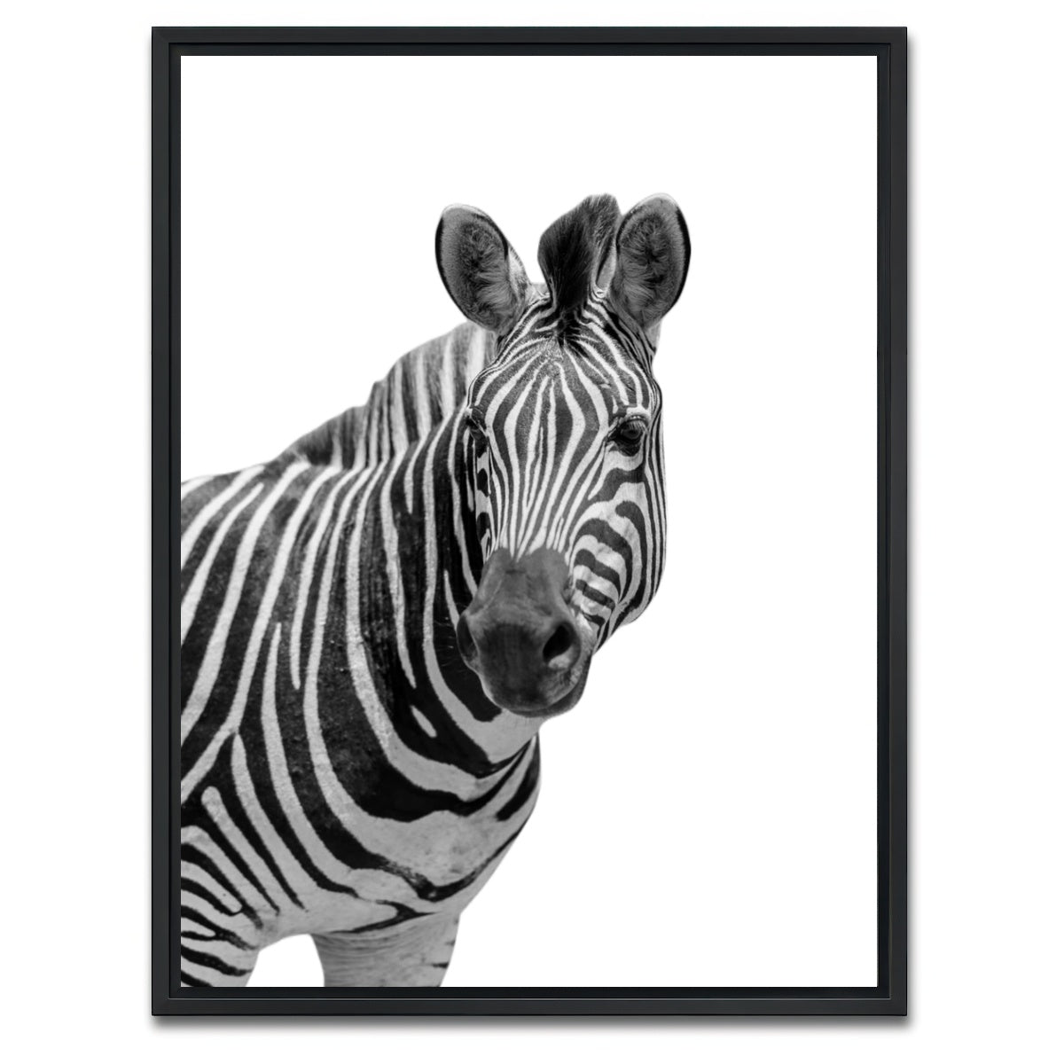 AUTO-MOCKUP WHITE | Zebra Grayscale | 1 Piece | Black Framed Canvas | group=3x4