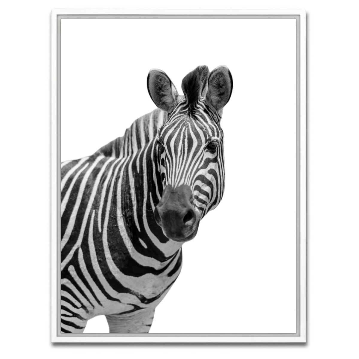 AUTO-MOCKUP WHITE | Zebra Grayscale | 1 Piece | White Framed Canvas | group=3x4
