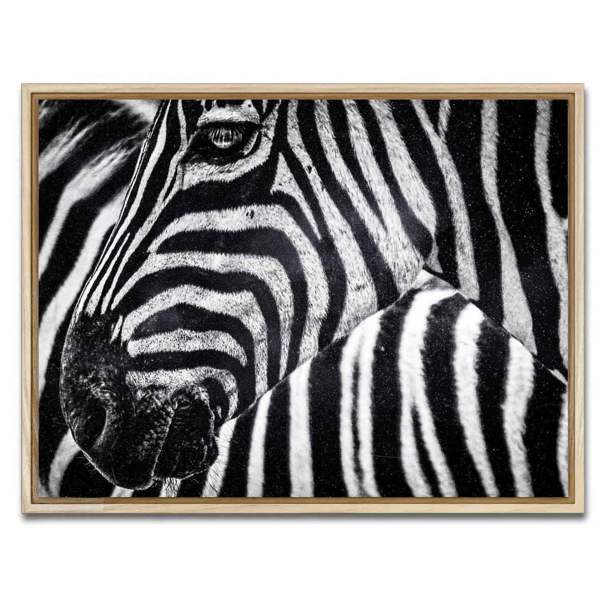 AUTO-MOCKUP WHITE | Zebra | 1 Piece | Natural Framed Canvas | group=4x3