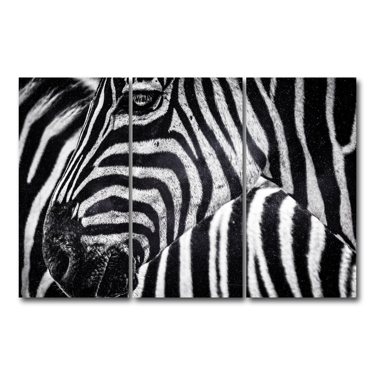 AUTO-MOCKUP WHITE | Zebra | 3 Piece | Gallery Wrap Canvas | group=12x24