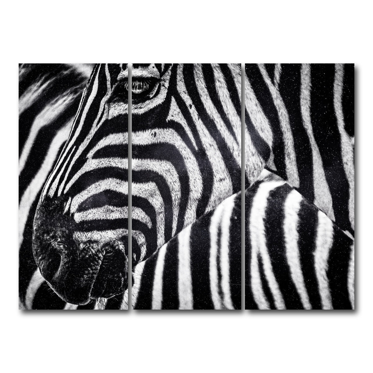 AUTO-MOCKUP WHITE | Zebra | 3 Piece | Gallery Wrap Canvas | group=8x18