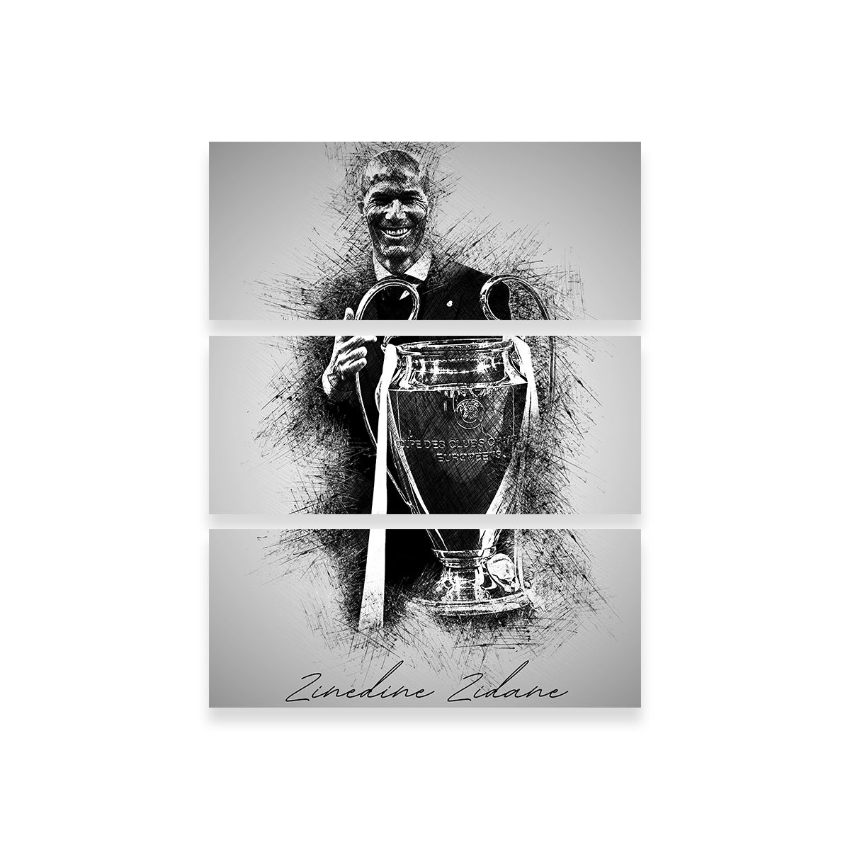Zinedine Zidane Wall Art