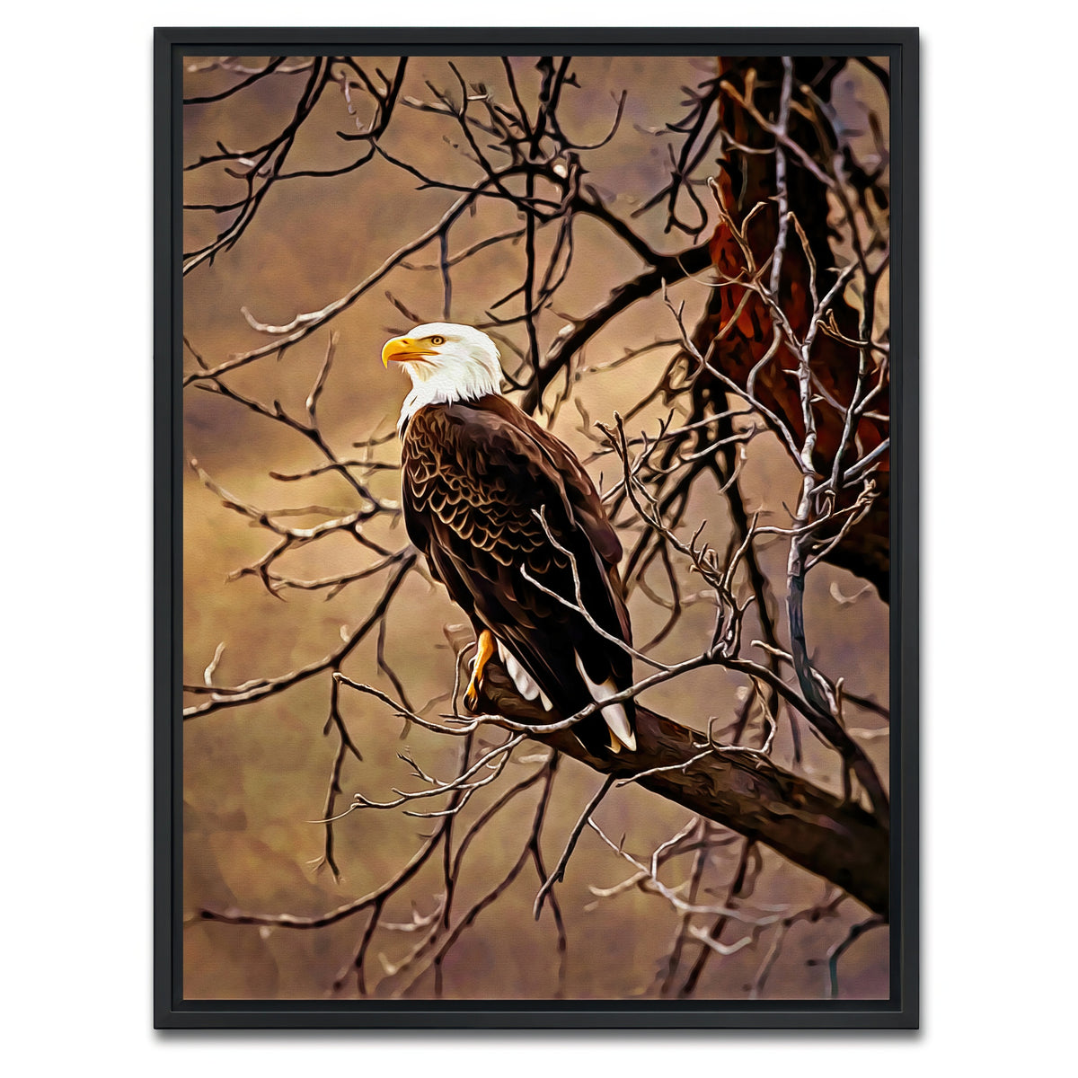 AUTO-MOCKUP WHITE | bald eagle | 1 Piece | Black Framed Canvas | group=3x4