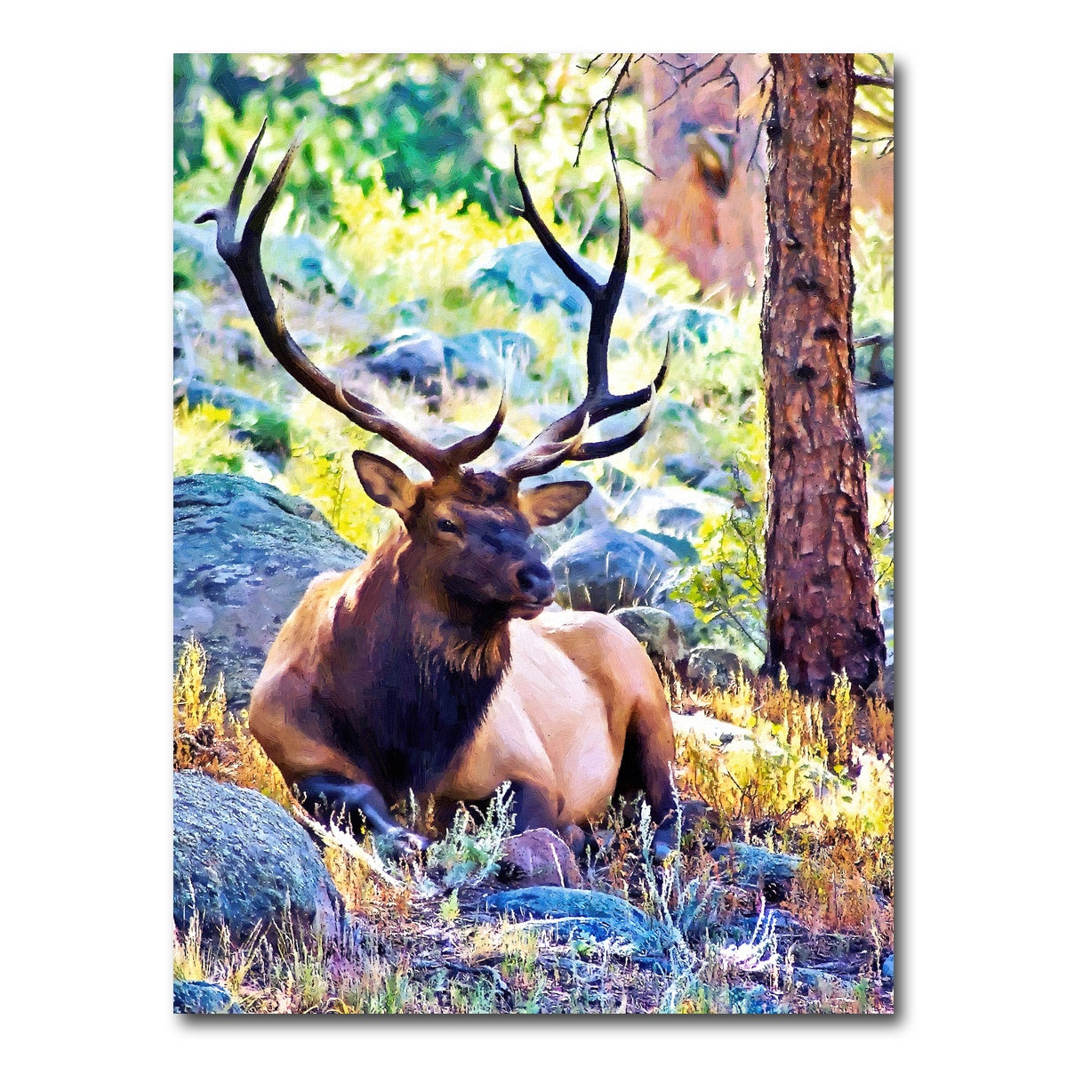 AUTO-MOCKUP WHITE | bull elk | 1 Piece | Gallery Wrap Canvas | group=3x4