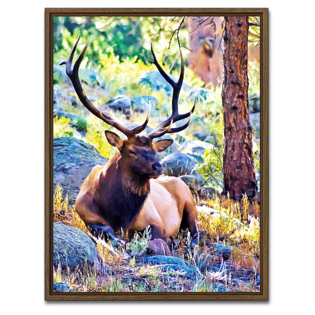 AUTO-MOCKUP WHITE | bull elk | 1 Piece | Walnut Framed Canvas | group=3x4