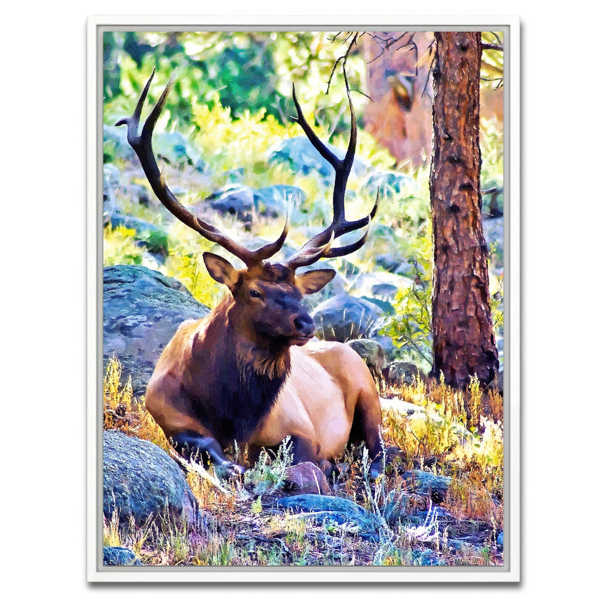AUTO-MOCKUP WHITE | bull elk | 1 Piece | White Framed Canvas | group=3x4