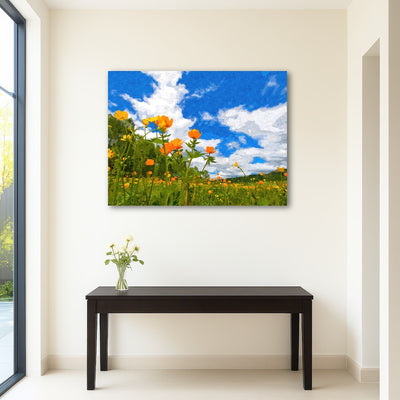 AUTO-MOCKUP ROOM | california poppies under the blue skies