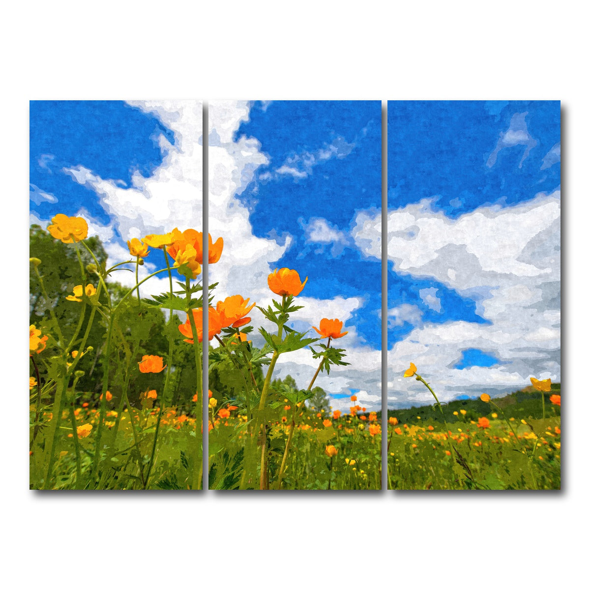 AUTO-MOCKUP WHITE | california poppies under the blue skies | 3 Piece | Gallery Wrap Canvas | group=8x18