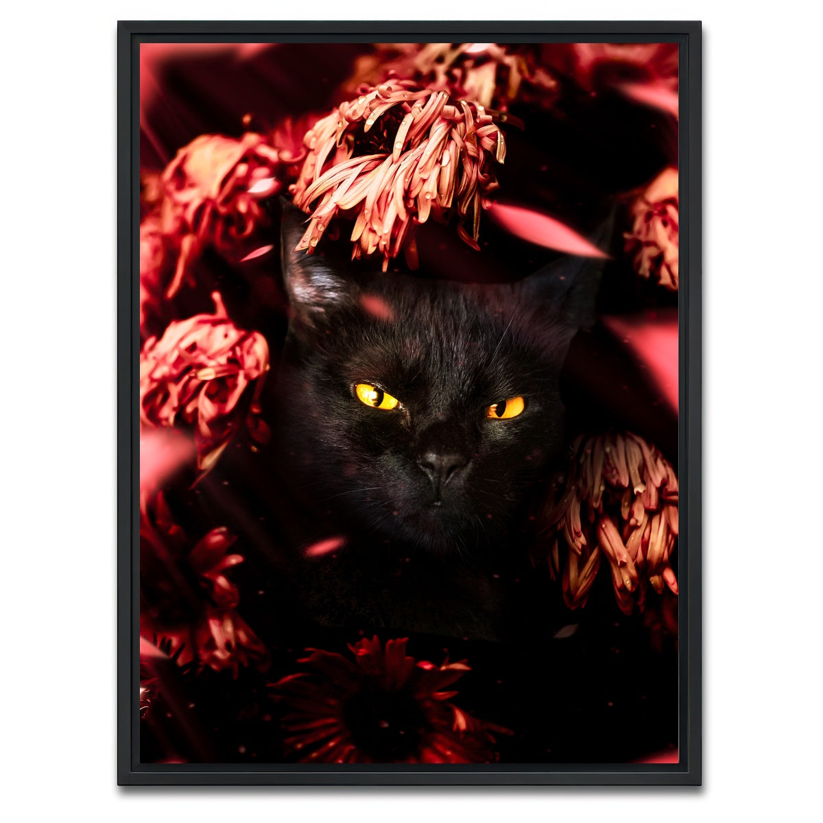 AUTO-MOCKUP WHITE | cat black petals | 1 Piece | Black Framed Canvas | group=3x4