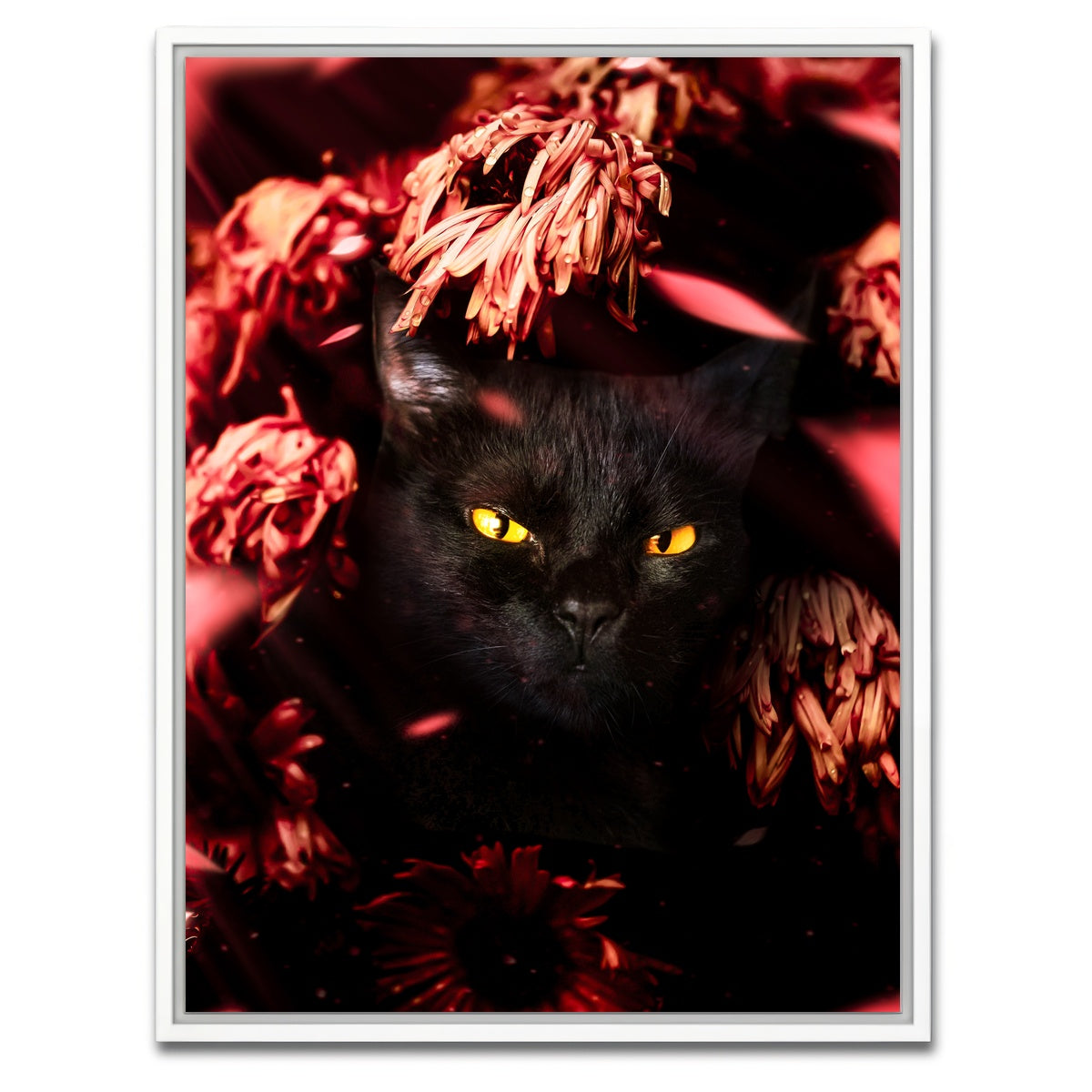 AUTO-MOCKUP WHITE | cat black petals | 1 Piece | White Framed Canvas | group=3x4