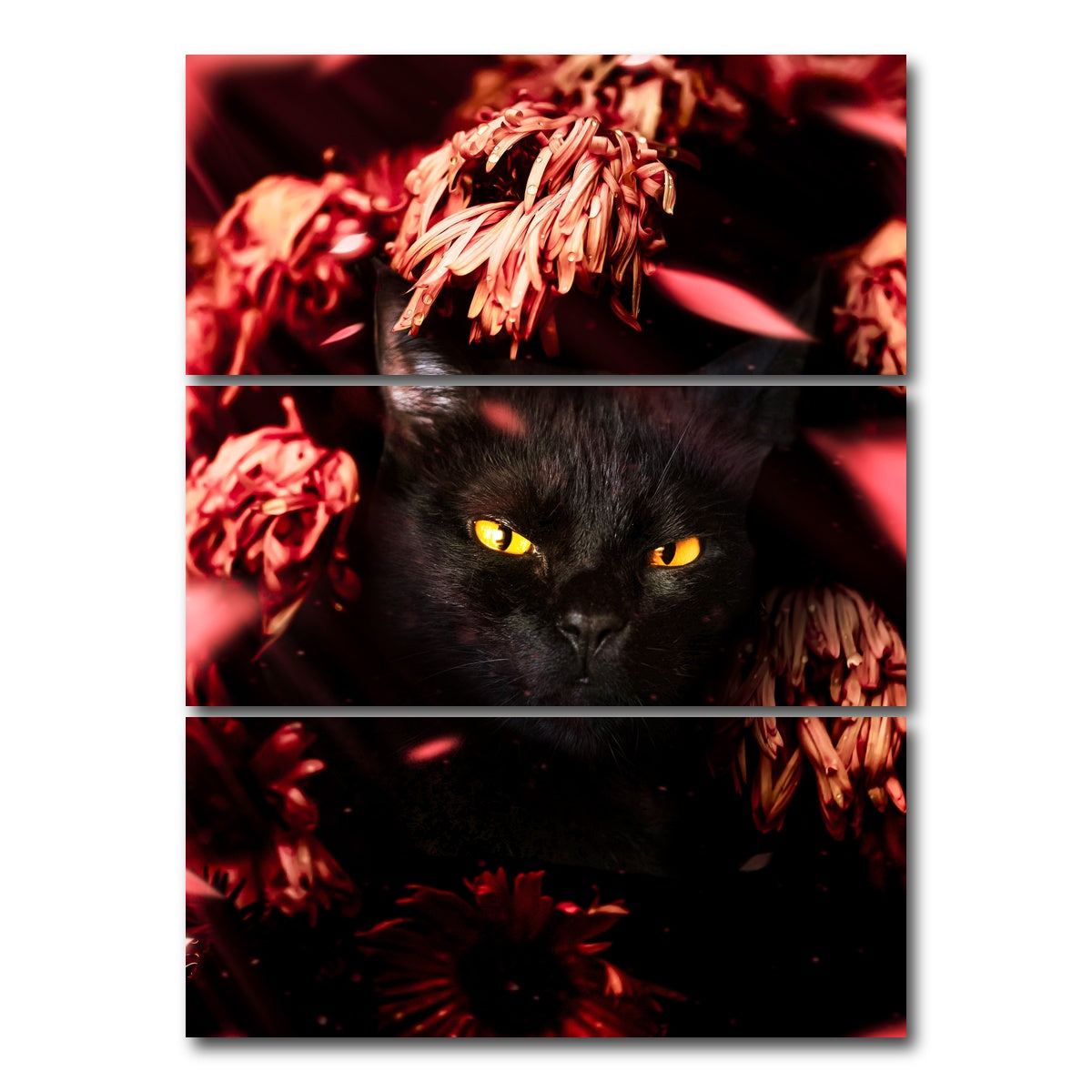 AUTO-MOCKUP WHITE | cat black petals | 3 Piece | Gallery Wrap Canvas | group=8x18_stacked