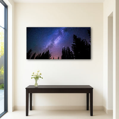 AUTO-MOCKUP ROOM | conifers reaching to milky way