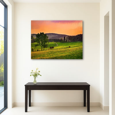 AUTO-MOCKUP ROOM | evening pasture