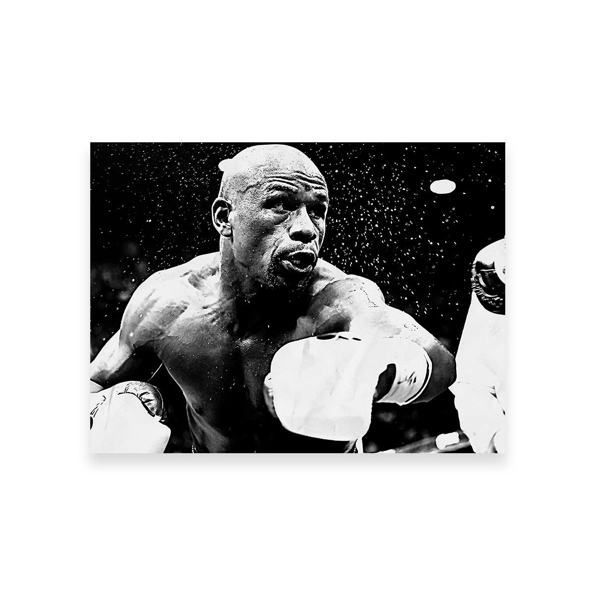 Floyd Mayweather Jr. Grayscale Wall Art