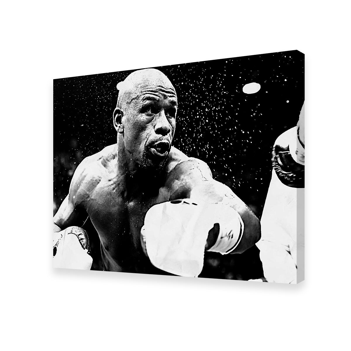 Floyd Mayweather Jr. Grayscale Wall Art