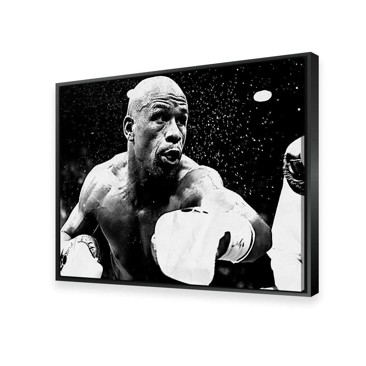 Floyd Mayweather Jr. Grayscale Wall Art