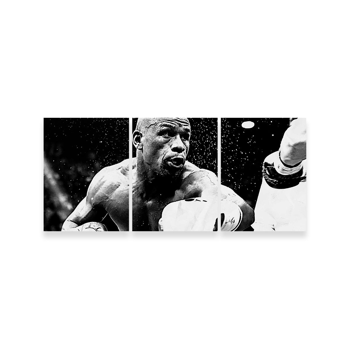 Floyd Mayweather Jr. Grayscale Wall Art