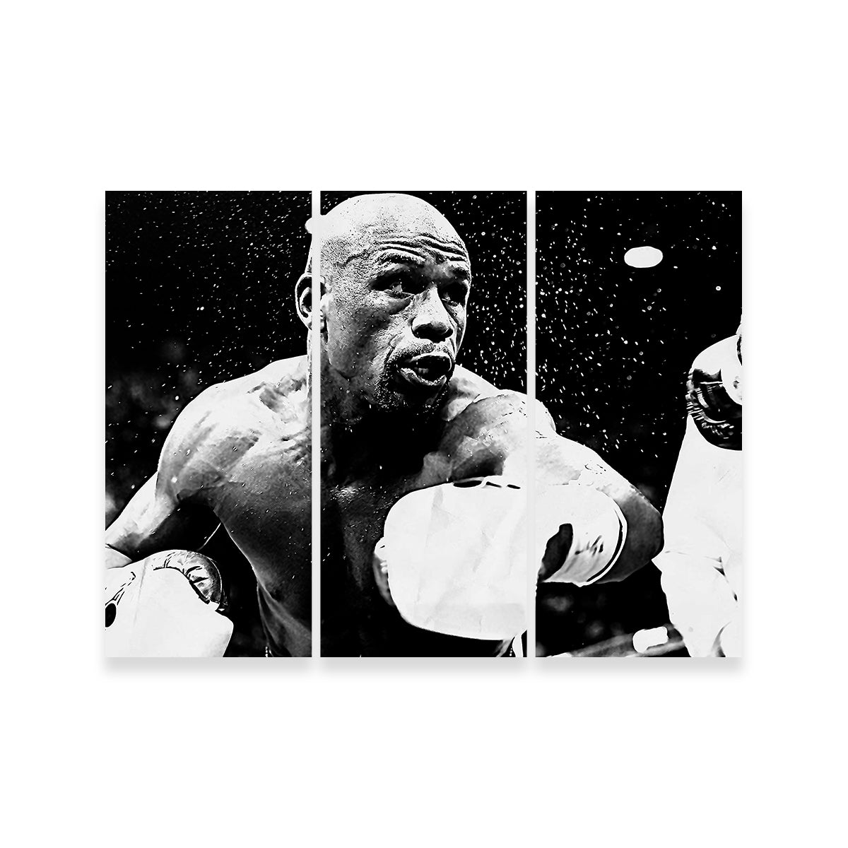 Floyd Mayweather Jr. Grayscale Wall Art