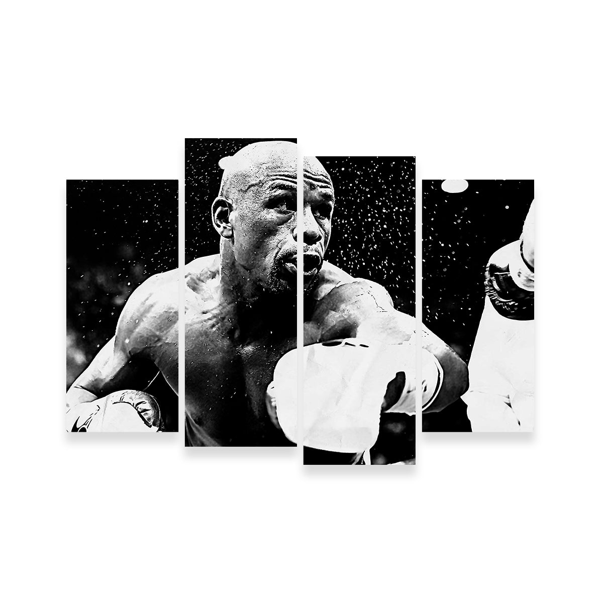 Floyd Mayweather Jr. Grayscale Wall Art