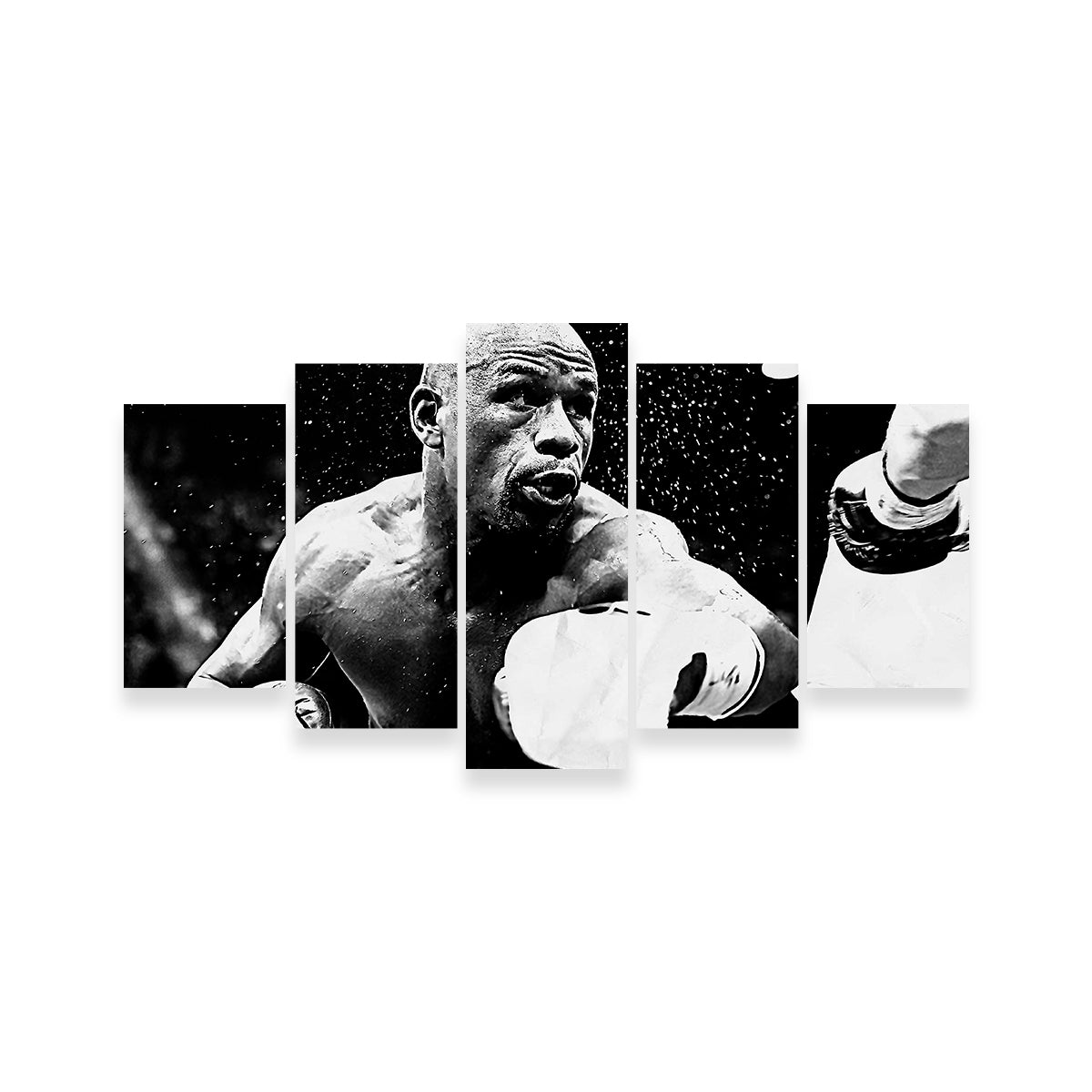 Floyd Mayweather Jr. Grayscale Wall Art