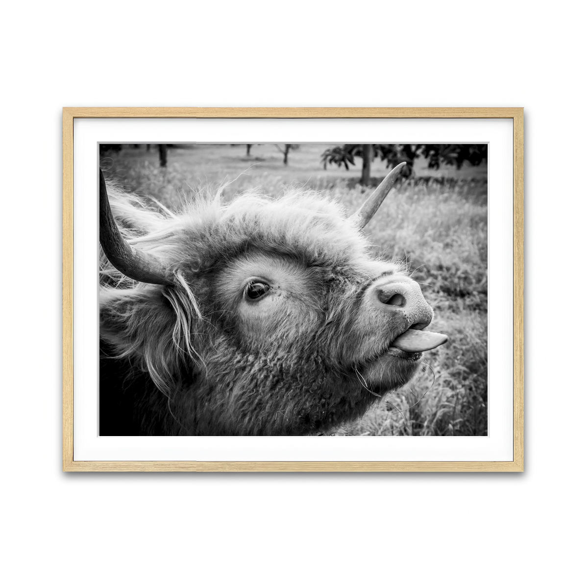 Framed Print 4x3 Natural