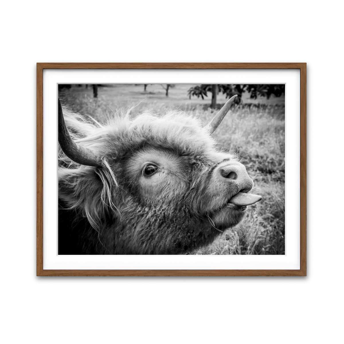 Framed Print 4x3 Walnut