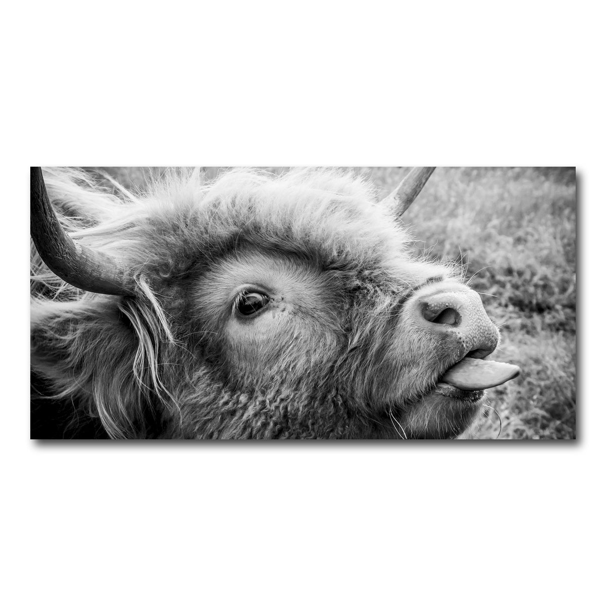 AUTO-MOCKUP WHITE | funny cow | 1 Piece | Gallery Wrap Canvas | group=2x1