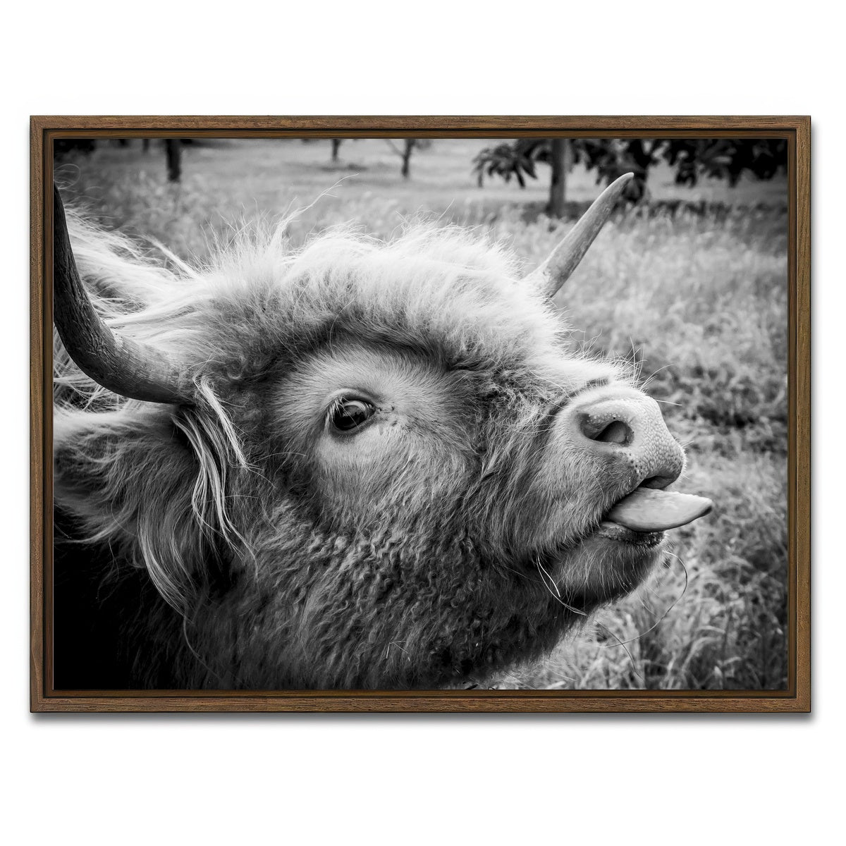 AUTO-MOCKUP WHITE | funny cow | 1 Piece | Walnut Framed Canvas | group=4x3