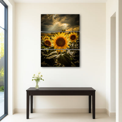 AUTO-MOCKUP ROOM | girasoli