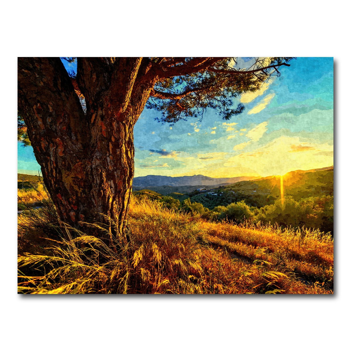 AUTO-MOCKUP WHITE | gnarled tree at sunset | 1 Piece | Gallery Wrap Canvas | group=4x3
