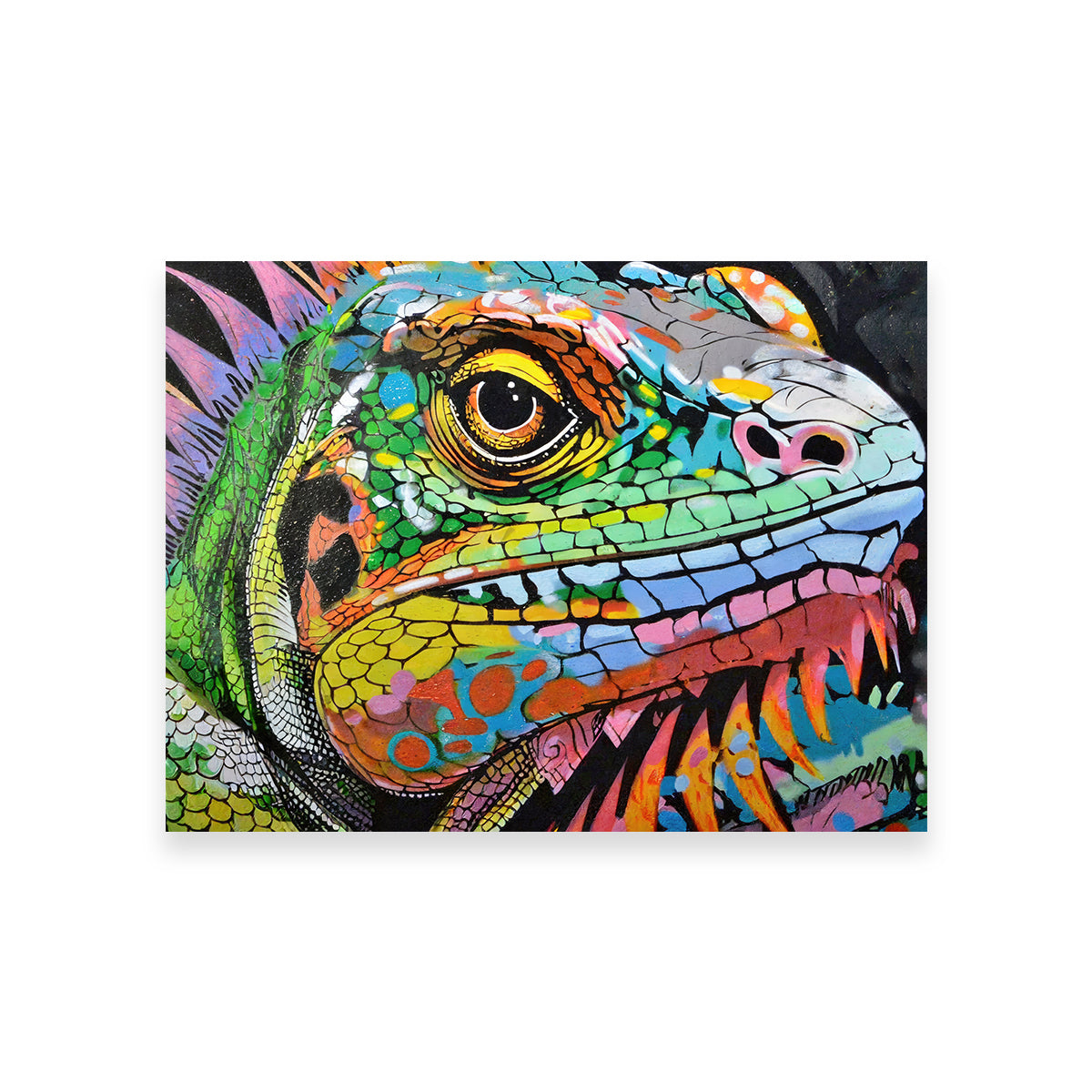 Iguana Graffiti Wall Art