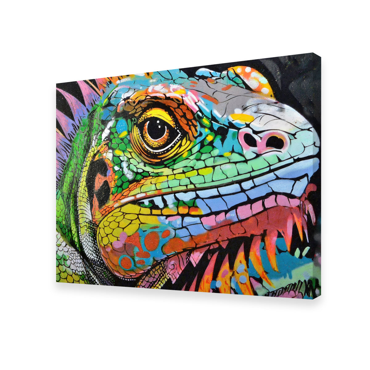 Iguana Graffiti Wall Art