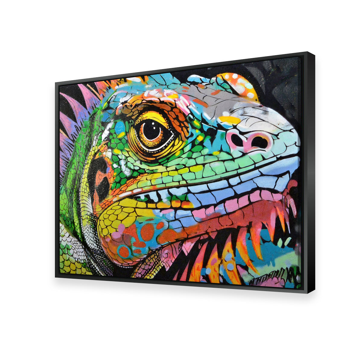 Iguana Graffiti Wall Art