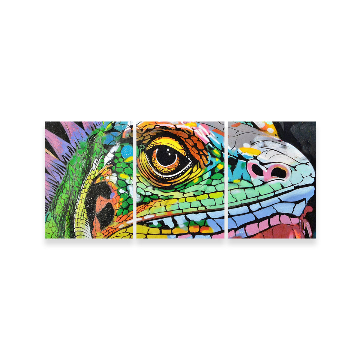 Iguana Graffiti Wall Art