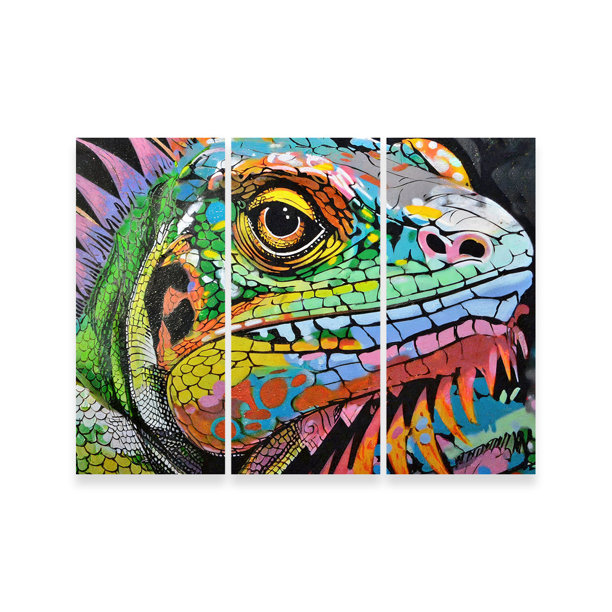 Iguana Graffiti Wall Art