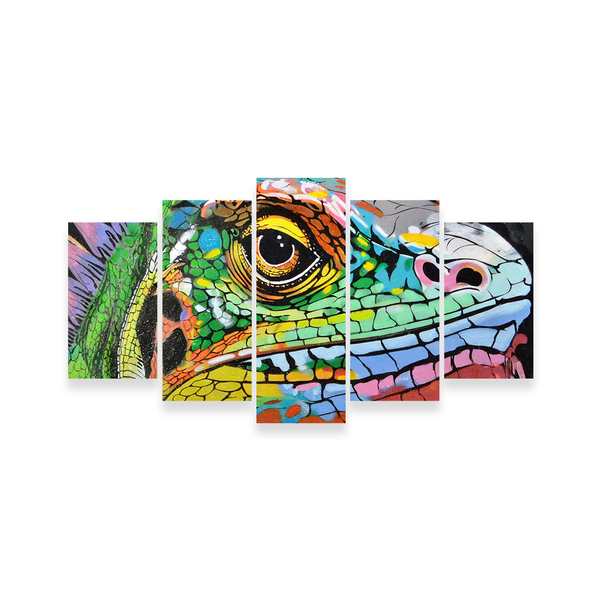 Iguana Graffiti Wall Art