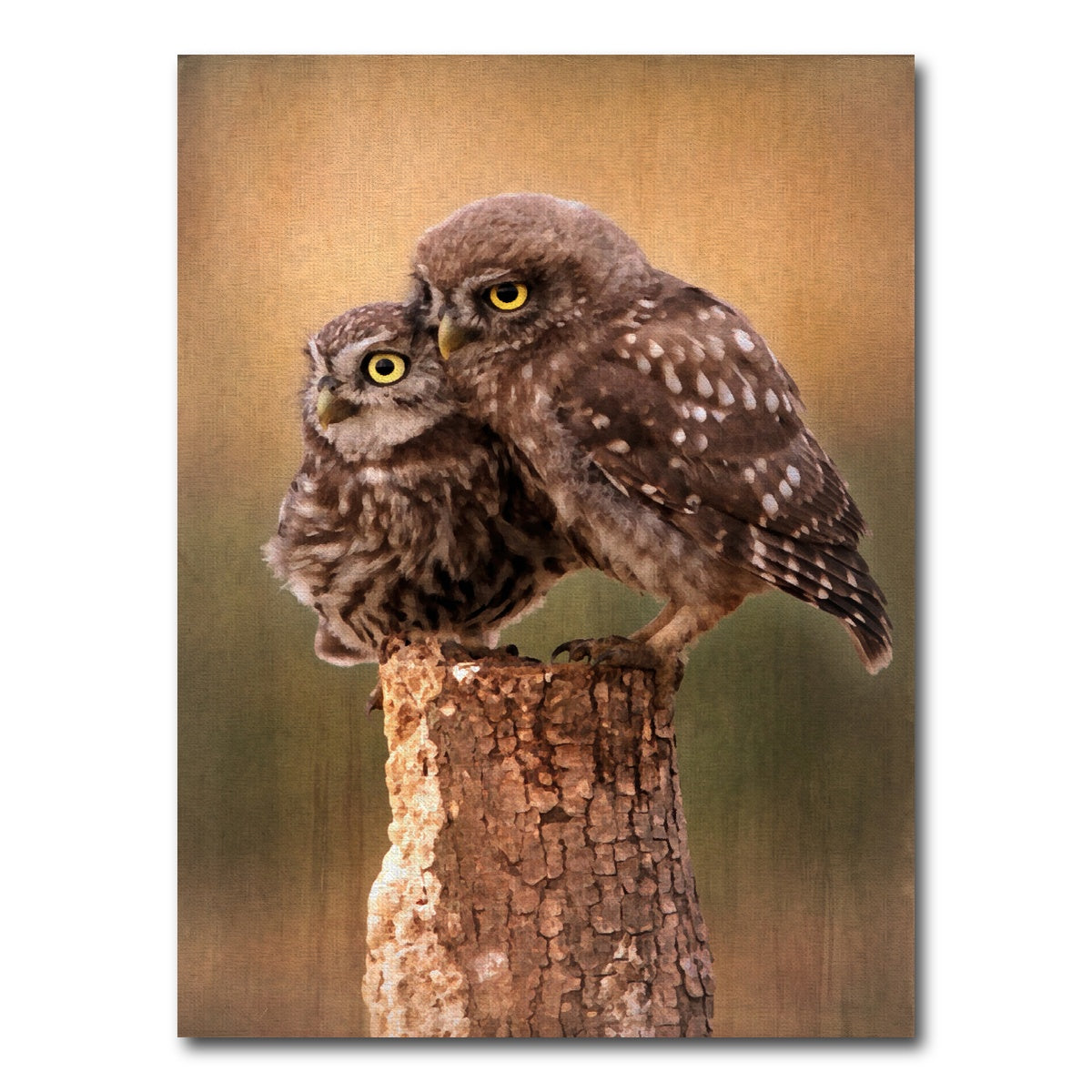 AUTO-MOCKUP WHITE | learning the ropes | 1 Piece | Gallery Wrap Canvas | group=3x4