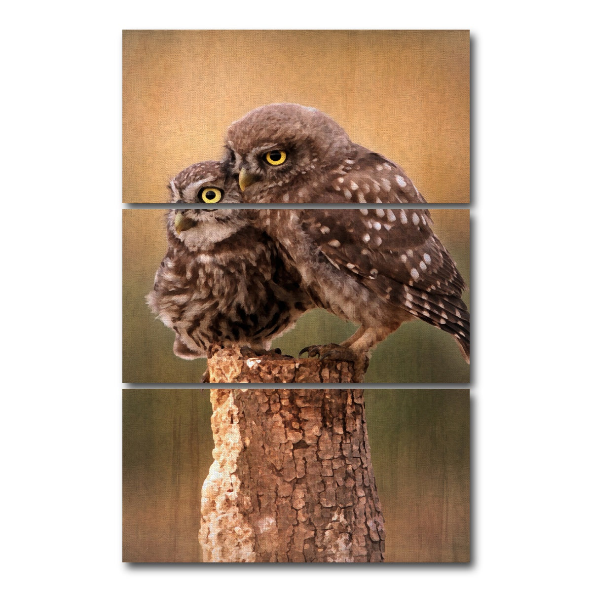 AUTO-MOCKUP WHITE | learning the ropes | 3 Piece | Gallery Wrap Canvas | group=12x24_stacked