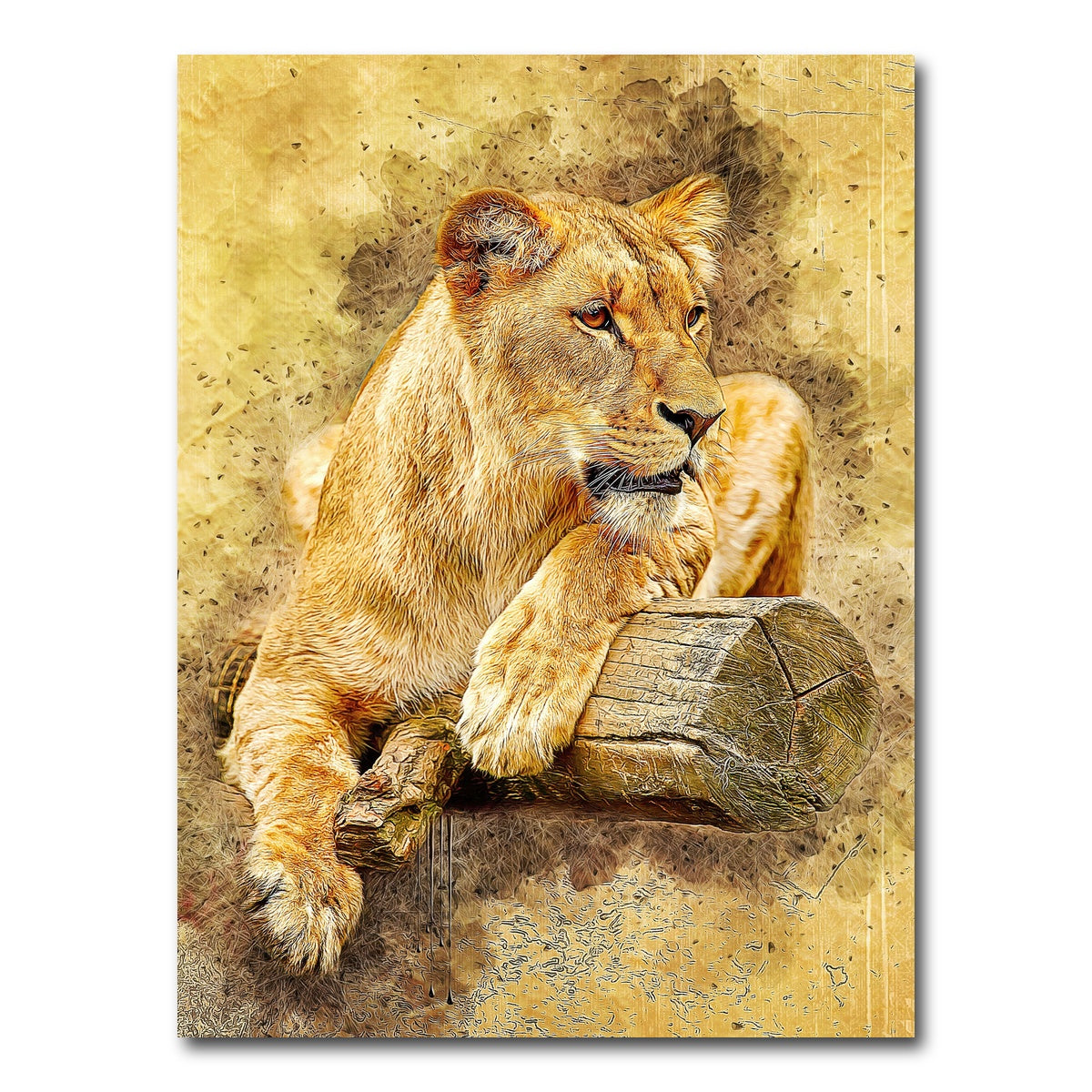 AUTO-MOCKUP WHITE | lioness at rest | 1 Piece | Gallery Wrap Canvas | group=3x4