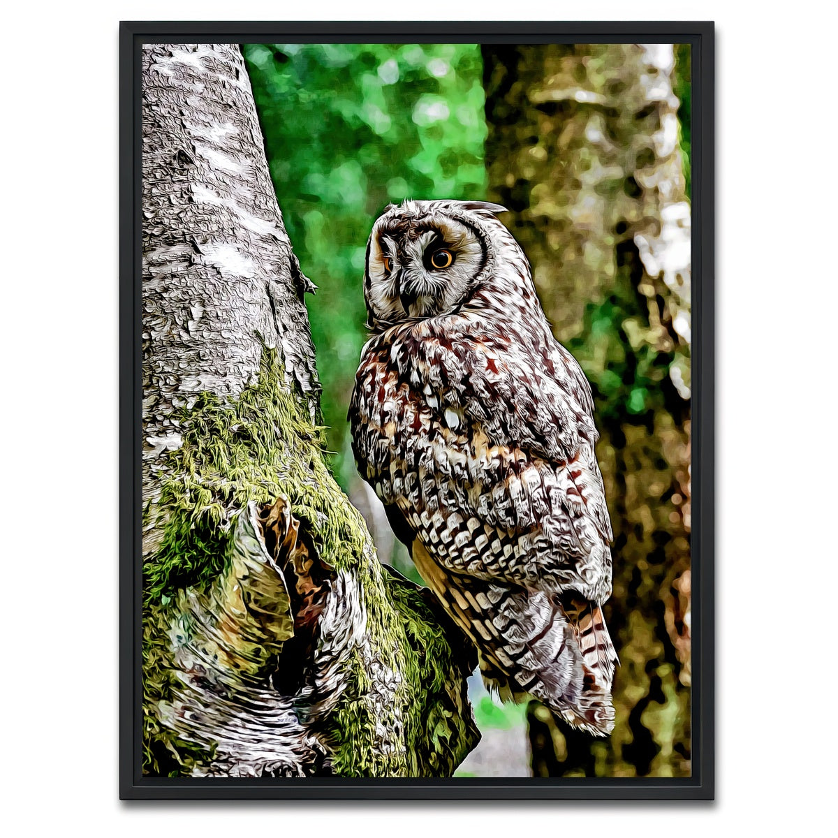 AUTO-MOCKUP WHITE | long eared owl | 1 Piece | Black Framed Canvas | group=3x4