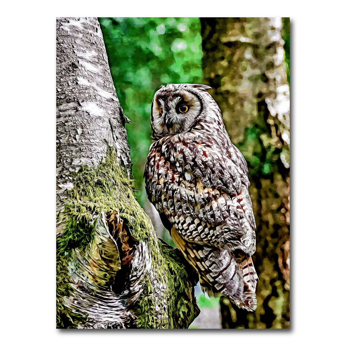 AUTO-MOCKUP WHITE | long eared owl | 1 Piece | Gallery Wrap Canvas | group=3x4