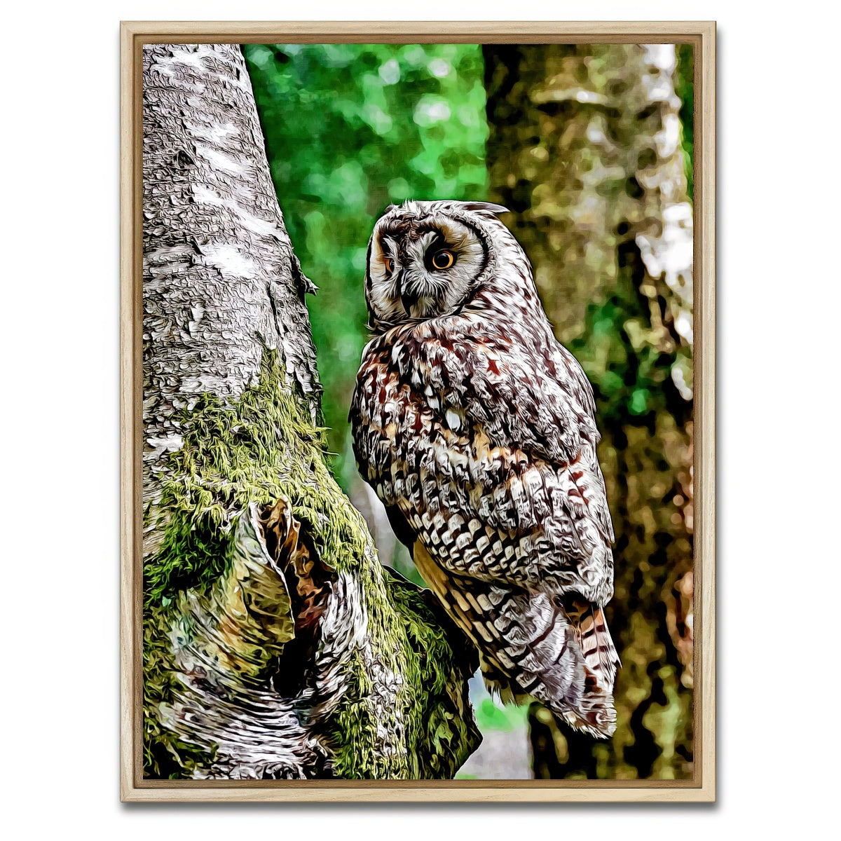 AUTO-MOCKUP WHITE | long eared owl | 1 Piece | Natural Framed Canvas | group=3x4