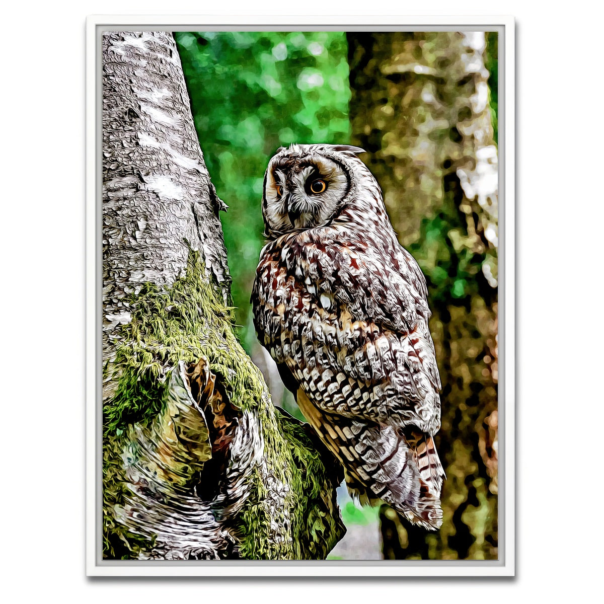 AUTO-MOCKUP WHITE | long eared owl | 1 Piece | White Framed Canvas | group=3x4