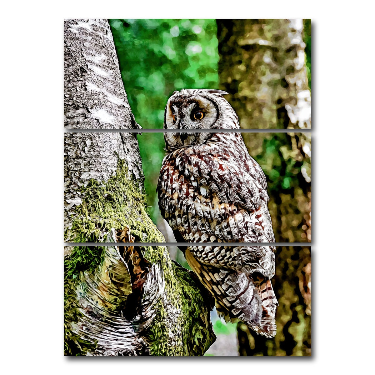 AUTO-MOCKUP WHITE | long eared owl | 3 Piece | Gallery Wrap Canvas | group=8x18_stacked