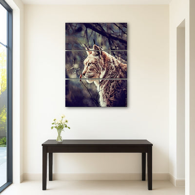 AUTO-MOCKUP ROOM | lynx