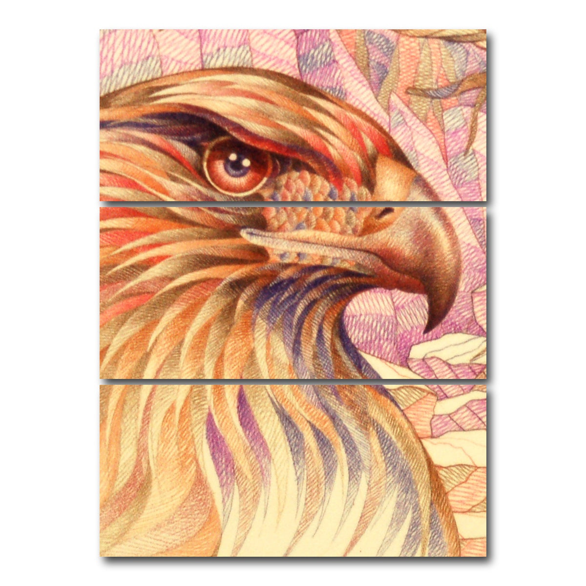 AUTO-MOCKUP WHITE | raptor's on the lookout | 3 Piece | Gallery Wrap Canvas | group=8x18_stacked