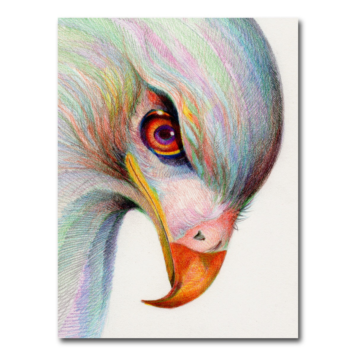 AUTO-MOCKUP WHITE | raptor's watchful eye | 1 Piece | Gallery Wrap Canvas | group=3x4