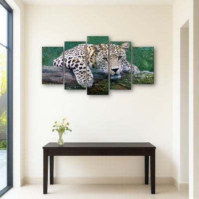 AUTO-MOCKUP ROOM | snow leopard