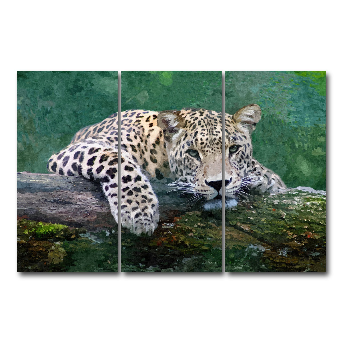 AUTO-MOCKUP WHITE | snow leopard | 3 Piece | Gallery Wrap Canvas | group=12x24
